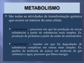 São todas as atividades de transformação química que ocorre no interior de uma célula. Anabolismo  – processos em que há produção de novas substâncias a partir de substâncias mais simples. Ex. produção de proteínas a partir da união de aminoácidos. Catabolismo  – reações em que há degradação de substâncias complexas em outras mais simples. Ex. quebra da molécula de açúcar em molécula de gás carbônico e água, processo que libera energia. 