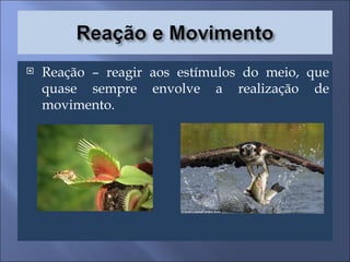 Reação – reagir aos estímulos do meio, que quase sempre envolve a realização de movimento. 
