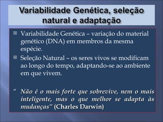 Variabilidade Genética – variação do material genético (DNA) em membros da mesma espécie. Seleção Natural – os seres vivos se modificam ao longo do tempo, adaptando-se ao ambiente em que vivem. “ Não é o mais forte que sobrevive, nem o mais inteligente, mas o que melhor se adapta às mudanças”  (Charles Darwin) 