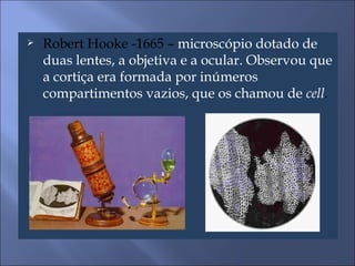 Robert Hooke -1665 –  microscópio dotado de duas lentes, a objetiva e a ocular. Observou que a cortiça era formada por inúmeros compartimentos vazios, que os chamou de  cell . 