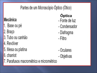Óptica 