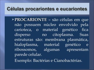 PROCARIONTE  – são células em que não possuem núcleo envolvido pela carioteca, o material genético fica disperso  no citoplasma. Suas estruturas são: membrana plasmática, hialoplasma, material genético e ribossomos, algumas apresentam parede celular.  Exemplo: Bactérias e Cianobactérias. 