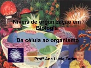 Níveis de organização em Biologia Profª Ana Lucia Farias Da célula ao organismo 