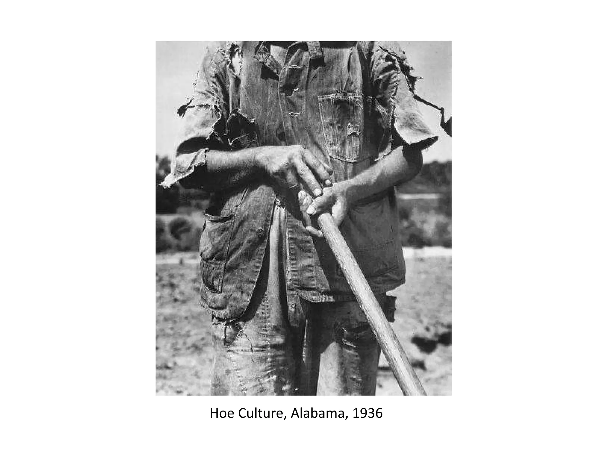 Hoe Culture, Alabama, 1936

 