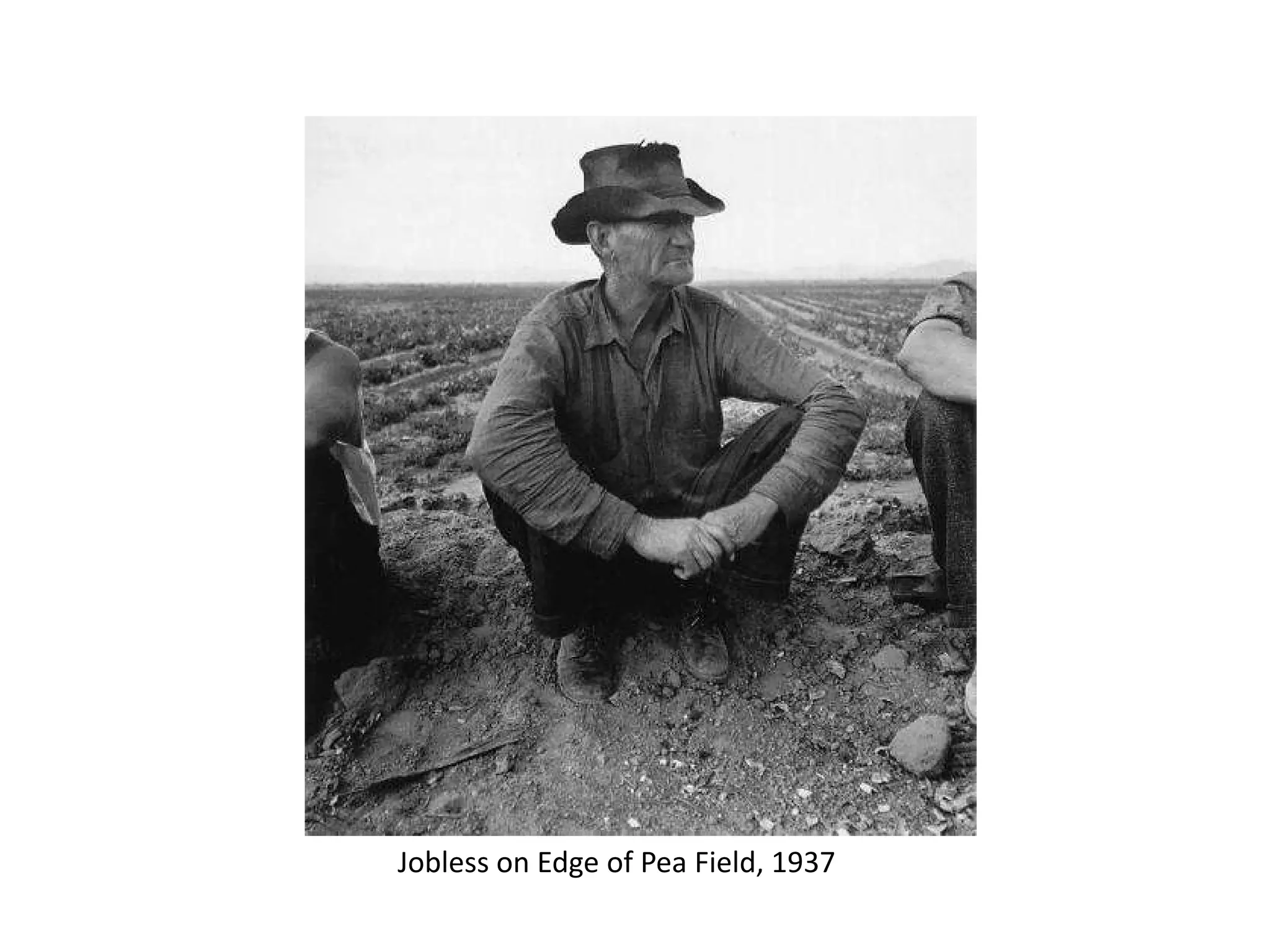 Jobless on Edge of Pea Field, 1937

 
