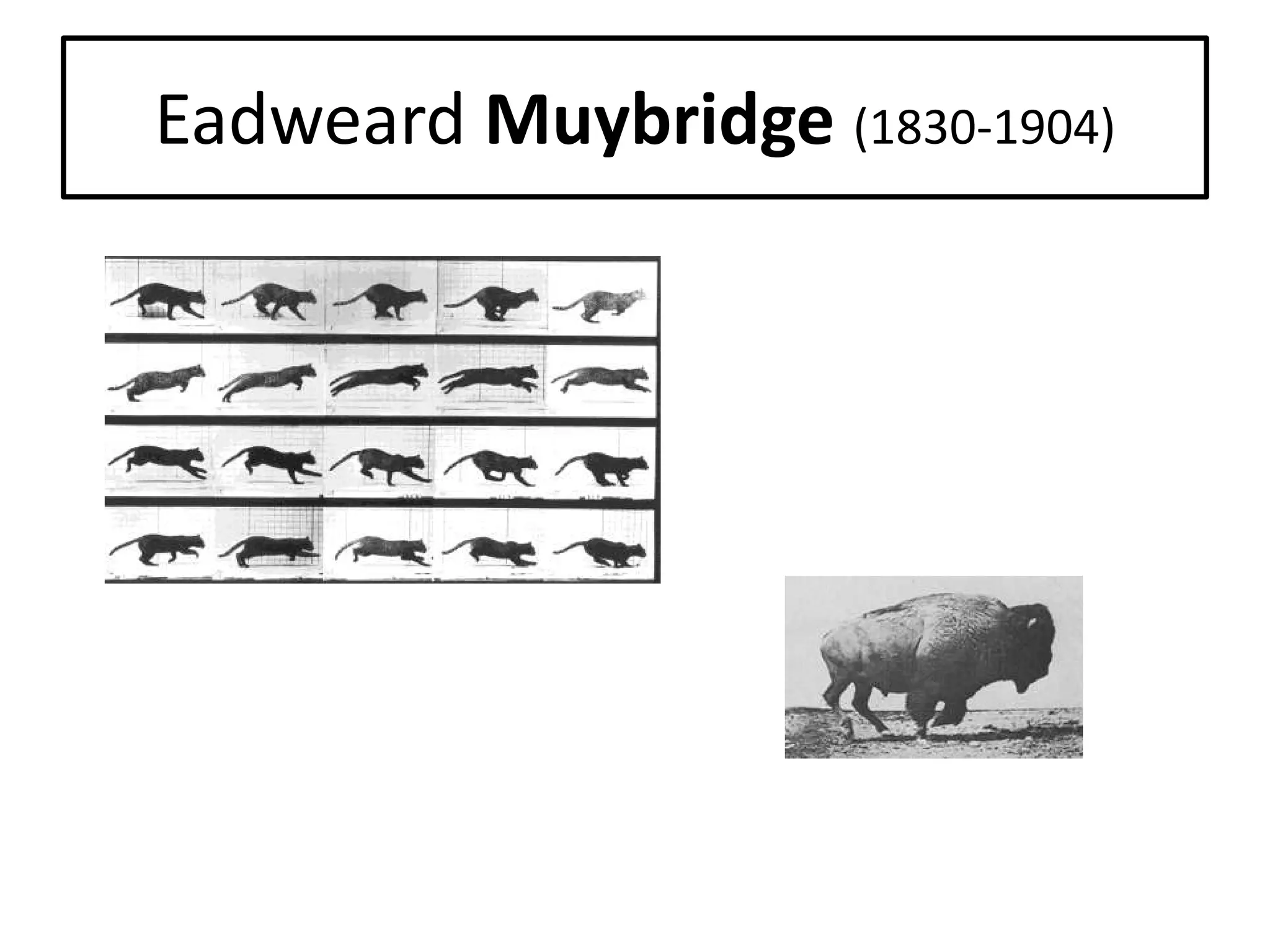 Eadweard Muybridge (1830-1904)

 