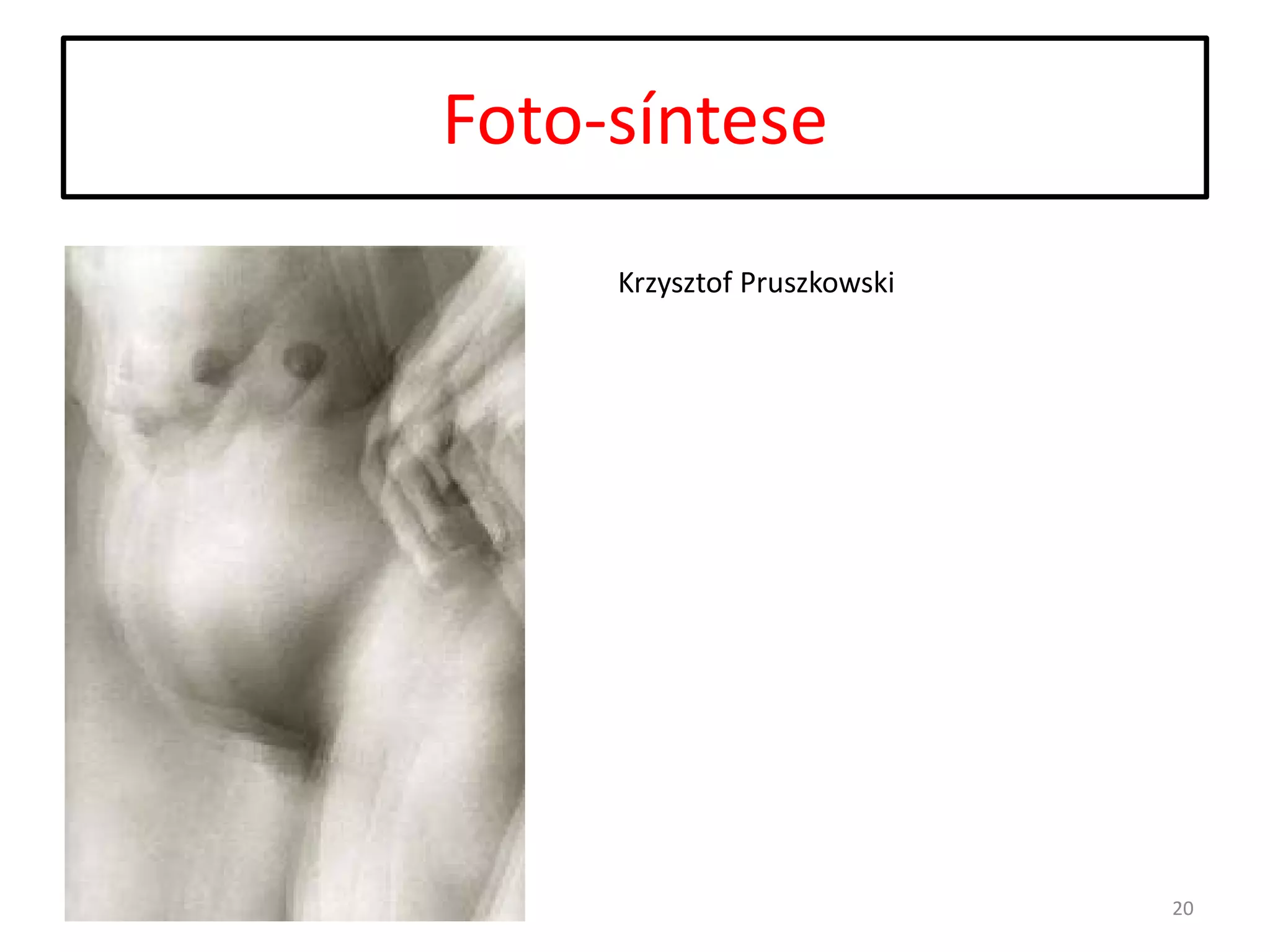 Foto-síntese
Krzysztof Pruszkowski

20

 