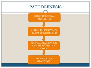 PATHOGENESIS
NEOVASCULARISATION
ON IRIS AND IN THE
ANGLE
NEOVASCULAR
GLAUCOMA
ANGIOGENIC FACTORS
RELEASED & DIFFUSED
CHRONIC RETINAL
ISCHAEMIA
 
