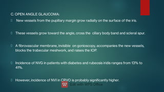 C. OPEN ANGLE GLAUCOMA:
New vessels from the pupillary margin grow radially on the surface of the iris.
These vessels grow toward the angle, cross the ciliary body band and scleral spur.
A brovascular membrane, invisible on gonioscopy, accompanies the new vessels,
blocks the trabecular meshwork, and raises the IOP.
Incidence of NVG in patients with diabetes and rubeosis iridis ranges from 13% to
41%.
However, incidence of NVI in CRVO is probably signicantly higher.
 