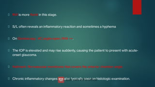 NVI is more orid in this stage.
S/L often reveals an inammatory reaction and sometimes a hyphema
On Gonioscopy: AC angle-open, NVA ++.
The IOP is elevated and may rise suddenly, causing the patient to present with acute-
onset glaucoma.
Hallmark- brovascular membrane that covers the anterior chamber angle
Chronic inammatory changes are also typically seen on histologic examination.
 