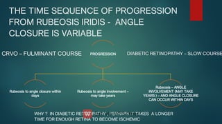 THE TIME SEQUENCE OF PROGRESSION
FROM RUBEOSIS IRIDIS - ANGLE
CLOSURE IS VARIABLE
PROGRESSION
Rubeosis to angle closure within
days
Rubeosis to angle involvement –
may take years
Rubeosis – ANGLE
INVOLVEMENT (MAY TAKE
YEARS ) – AND ANGLE CLOSURE
CAN OCCUR WITHIN DAYS
CRVO – FULMINANT COURSE
CRVO – FULMINANT COURSE DIABETIC RETINOPATHY – SLOW COURSE
DIABETIC RETINOPATHY – SLOW COURSE
WHY ? IN DIABETIC RETINOPATHY , PERHAPS IT TAKES A LONGER
TIME FOR ENOUGH RETINA TO BECOME ISCHEMIC
 