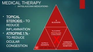 MEDICAL THERAPY
ANTIGLAUCOMA MEDICATIONS -
B
BLOCKERS
ALPHA 2
AGONISTS
PILOCARPINE
PROSTAGLANDI
N ANALOGUES
CARBONIC
ANHYDRASE
INHIBITORS
X
•
•
TOPICAL
STEROIDS – TO
REDUCE
INFLAMMATION
ATROPINE 1 % -
TO REDUCE
OCULAR
CONGESTION
 