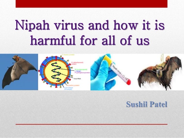 Introduction
• Nipah virus is a zoonotic virus, it can cause disease in
human and other animals such as pigs and bats.
• N...