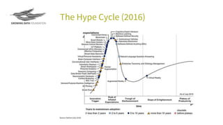 The Hype Cycle (2016)
 