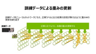 12
訓練データによる重みの更新
訓練データ
猫
犬
熊
訓練データをニューラルネットワークに与え、正解ラベルと出力結果の誤差が無くなるように重みWの
更新を繰り返す
猫
犬
狸
正解に近づくように、各層の重みを更新する
 