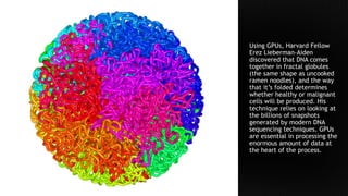 Using GPUs, Harvard Fellow
Erez Lieberman-Aiden
discovered that DNA comes
together in fractal globules
(the same shape as uncooked
ramen noodles), and the way
that it’s folded determines
whether healthy or malignant
cells will be produced. His
technique relies on looking at
the billions of snapshots
generated by modern DNA
sequencing techniques. GPUs
are essential in processing the
enormous amount of data at
the heart of the process.
 