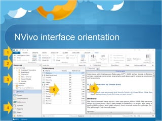 NVivo interface orientation
 