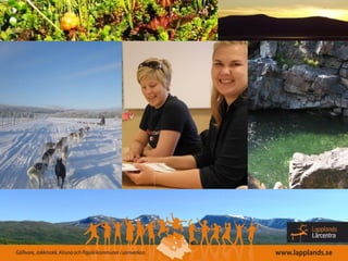 Nvlhusavikennxpowerlite 120523085009-phpapp02