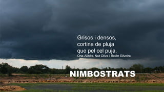 NIMBOSTRATS
Grisos i densos,
cortina de pluja
que pel cel puja.
Ona Alibés, Nut Oliva i Belén Silveira
 