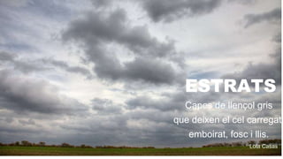 ESTRATS
Capes de llençol gris
que deixen el cel carregat,
emboirat, fosc i llis.
Lola Casas
 