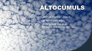 ALTOCÚMULS
Globus blancs i blaus,
cel amb cabretes
on hi volen les aus.
Júlia Azemar, Santi Blázquez, Llum Cignoni
 