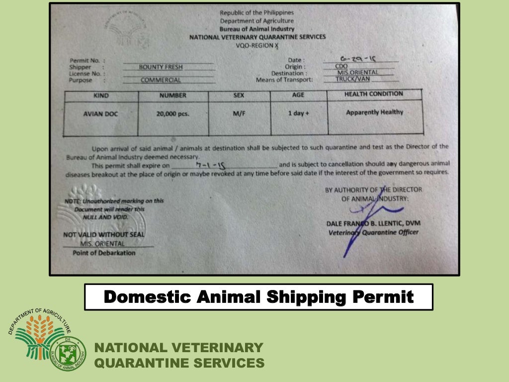Veterinary Quarantine Services in the Philippines