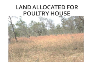 LANDALLOCATED FOR
POULTRY HOUSE
 