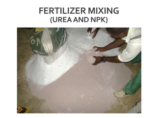FERTILIZER MIXING
(UREAAND NPK)
 