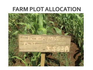 FARM PLOTALLOCATION
 