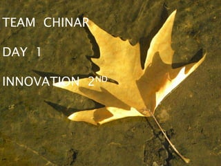TEAM CHINAR

DAY 1

INNOVATION 2ND
 