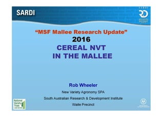 “MSF Mallee Research Update”
2016
CEREAL NVT
IN THE MALLEE
Rob Wheeler
New Variety Agronomy SPA
South Australian Research & Development Institute
Waite Precinct
 