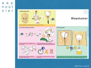 N V Z 2 4 - 3 - 2 0 1 6
 