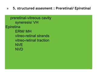 » 5. structured assesment : Preretinal/ Epiretinal
preretinal-vitreous cavity
syneresis/ VH
Epiretina
ERM/ MH
vitreo-retinal strands
vitreo-retinal traction
NVE
NVD
48
 