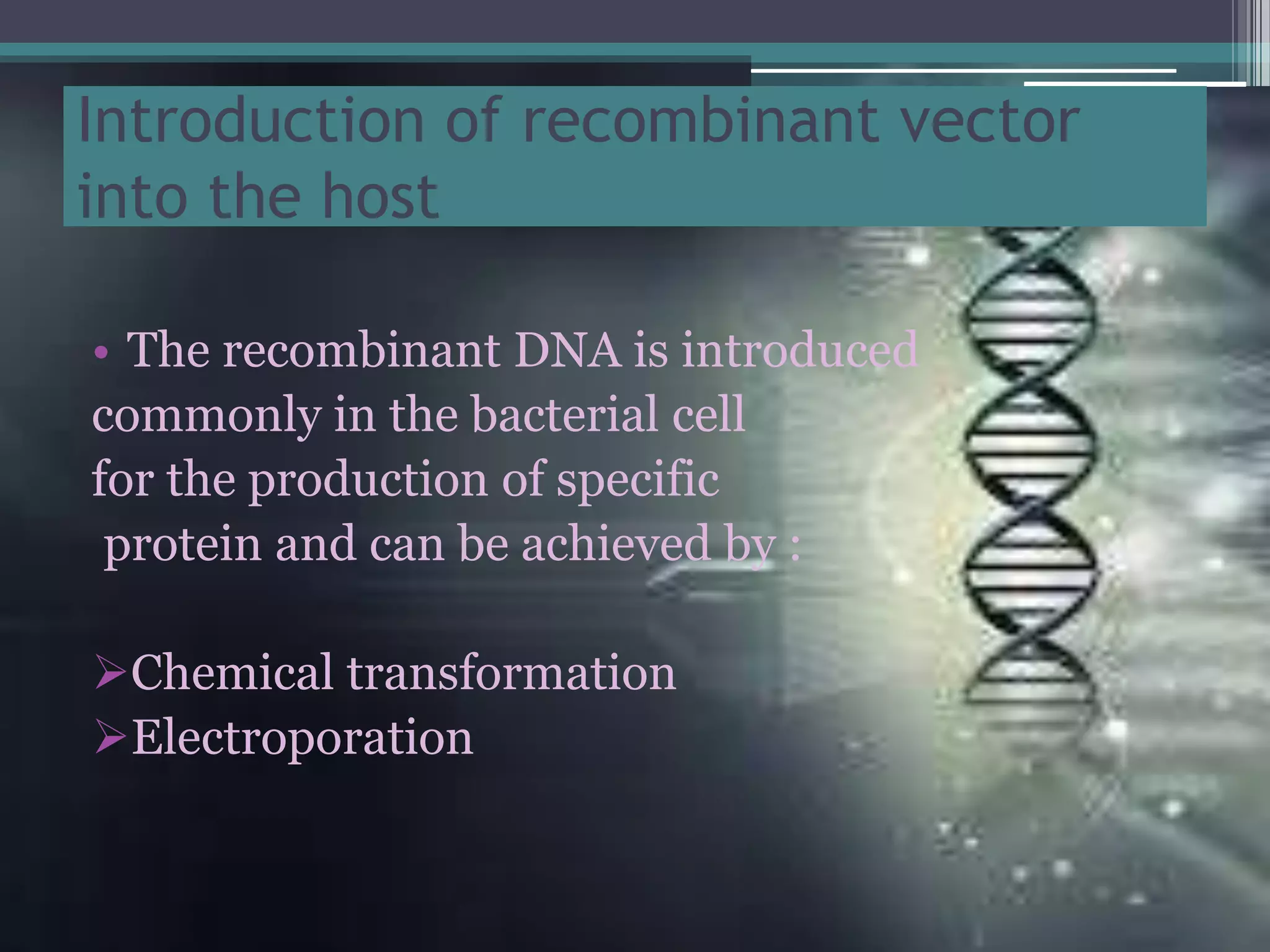 Introduction of recombinant vector
into the host
• The recombinant DNA is introduced
commonly in the bacterial cell
for the production of specific
protein and can be achieved by :
Chemical transformation
Electroporation
 