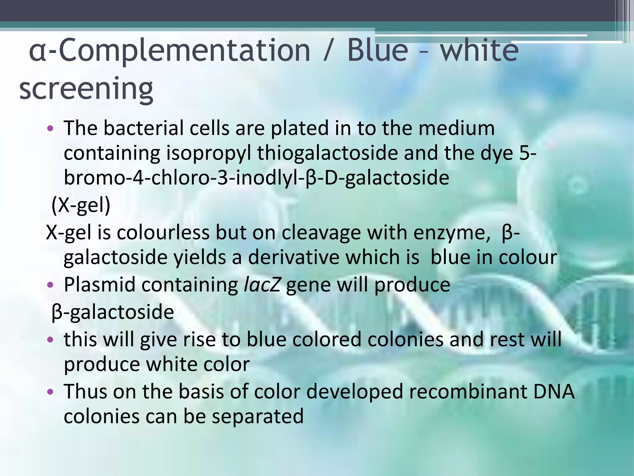 α-Complementation / Blue – white
screening
• The bacterial cells are plated in to the medium
containing isopropyl thiogalactoside and the dye 5-
bromo-4-chloro-3-inodlyl-β-D-galactoside
(X-gel)
X-gel is colourless but on cleavage with enzyme, β-
galactoside yields a derivative which is blue in colour
• Plasmid containing lacZ gene will produce
β-galactoside
• this will give rise to blue colored colonies and rest will
produce white color
• Thus on the basis of color developed recombinant DNA
colonies can be separated
 