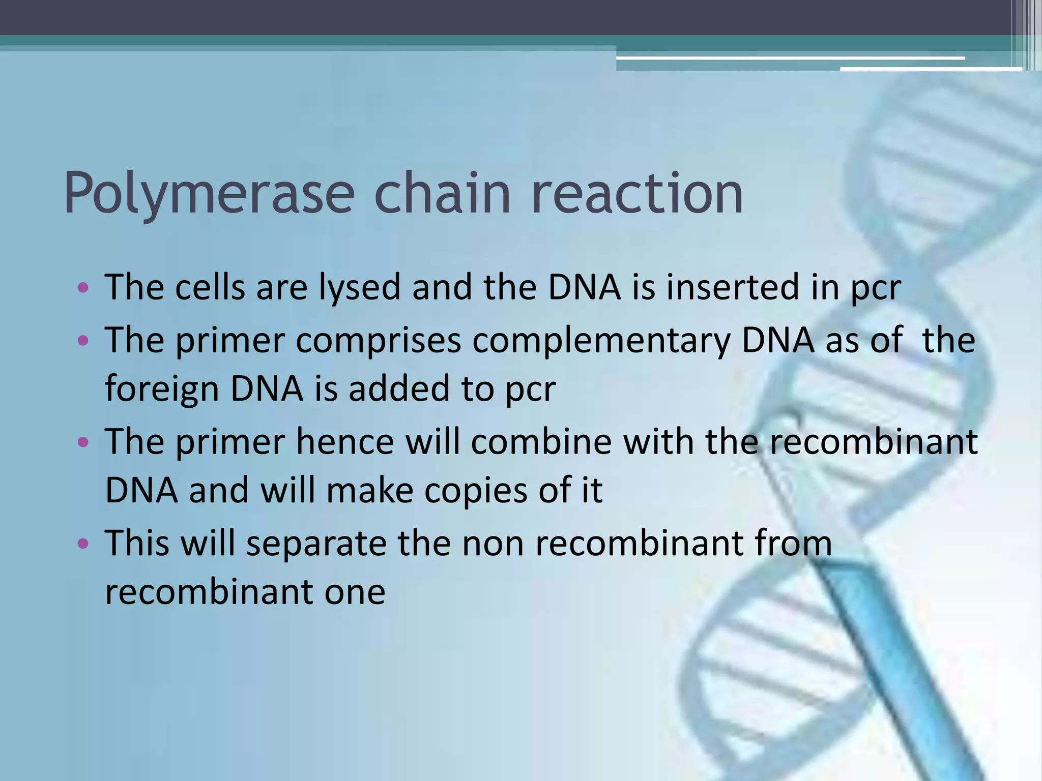 Polymerase chain reaction
• The cells are lysed and the DNA is inserted in pcr
• The primer comprises complementary DNA as of the
foreign DNA is added to pcr
• The primer hence will combine with the recombinant
DNA and will make copies of it
• This will separate the non recombinant from
recombinant one
 