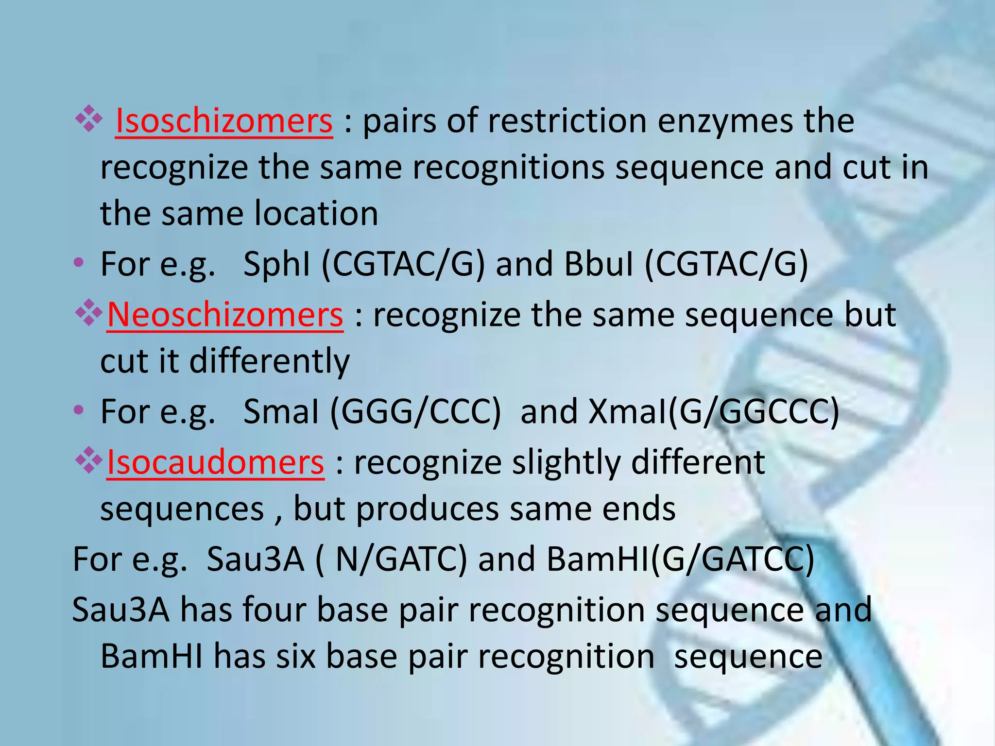  Isoschizomers : pairs of restriction enzymes the
recognize the same recognitions sequence and cut in
the same location
• For e.g. SphI (CGTAC/G) and BbuI (CGTAC/G)
Neoschizomers : recognize the same sequence but
cut it differently
• For e.g. SmaI (GGG/CCC) and XmaI(G/GGCCC)
Isocaudomers : recognize slightly different
sequences , but produces same ends
For e.g. Sau3A ( N/GATC) and BamHI(G/GATCC)
Sau3A has four base pair recognition sequence and
BamHI has six base pair recognition sequence
 
