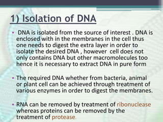 1) Isolation of DNA
• DNA is isolated from the source of interest . DNA is
enclosed with in the membranes in the cell thus
one needs to digest the extra layer in order to
isolate the desired DNA , however cell does not
only contains DNA but other macromolecules too
hence it is necessary to extract DNA in pure form
• The required DNA whether from bacteria, animal
or plant cell can be achieved through treatment of
various enzymes in order to digest the membranes.
• RNA can be removed by treatment of ribonuclease
whereas proteins can be removed by the
treatment of protease.
 