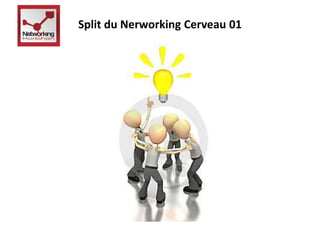 Split du Nerworking Cerveau 01 
 