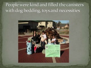 People were kind and filled the canisters with dog bedding, toys and necessities 