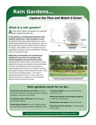 Rain Gardens...
                                Capture the Flow and Watch it Grow!

                                                             A cross-sectional view of a typical rain garden design


What is a rain garden?

A    s their name implies, rain gardens are cultivated
     areas created to harvest rain.

A rain garden is a landscaped depression that
collects runoff from a roof, driveway or yard.
7KH JDUGHQ¶V IODW ERWWRP KHOSV GLVWULEXWH UDLQ ZDWHU
evenly across the planted area, allowing the water to
slowly soak into the ground within 48 hours after the
rain stops. Rain gardens will not increase mosquito
populations since they cannot complete their breeding
                                                               Rain garden detail created by Jeff Huber, University of Arkansas Community Design Center
cycle in this length of time.

While they are beautiful, low-maintenance
additions to your yard, rain gardens also
provide important environmental benefits.
Landscaped with native plants, rain gardens provide
habitat that attracts local wildlife including butterflies
and birds. By catching and allowing rainwater to
slowly percolate into the soil, rain gardens recharge
groundwater supplies and decrease stormwater runoff
into the storm drainage system. The result is
reduced flooding and erosion in local creeks and
streams during storm events and more sustained                  This rain garden of native trees, shrubs and perennial flowers
                                                                    captures stormwater runoff from a park pavilion roof
flows during dry periods of the year.




                            Rain gardens work for us by...
  Protecting local streams and lakes from urban              Providing habitat for birds, butterflies and
  stormwater pollutants including sediment, fertilizers,     beneficial insects
  pesticides, auto fluids, and metals
                                                             Reducing flooding and drainage problems
  Increasing water infiltration and recharging               in yards and communities
  groundwater supplies
                                                             Sustaining creek flows during dry periods
  Enhancing the beauty of yards, neighborhoods,
                                                             Reducing the flow intensity of creeks during
  and businesses through beautiful landscaped areas
                                                             storm events


                         A one-inch rain over one acre equals more than 27,000 gallons of water!
 