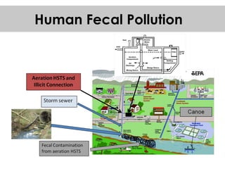 Human Fecal Pollution  