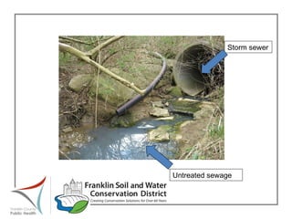 Untreated sewage Storm sewer 