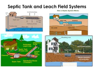 Septic Tank and Leach Field Systems 