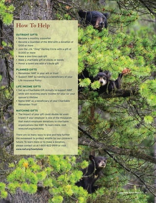 How To Help
OUTRIGHT GIFTS
• Become a monthly supporter
• Become a Guardian of the Wild with a donation of
$100 or more
• Join the J.N. “Ding” Darling Circle with a gift of
$1,000 or more
• Make a one-time cash gift
• Make a charitable gift of stocks or bonds
• Honor a loved one with a tribute gift
PLANNED GIFTS
• Remember NWF in your will or trust
• Support NWF by naming us a beneﬁciary of your
Life Insurance Policy
LIFE INCOME GIFTS
• Set up a Charitable Gift Annuity to support NWF
while still receiving yearly income for your (or your
spouse’s) lifetime
• Name NWF as a beneﬁciary of your Charitable
Remainder Trust
MATCHING GIFTS
• The impact of your gift could double (or even
triple!) if your employer is one of the thousands
that match employee donations to charitable
organizations like NWF. To learn more, visit
www.nwf.org/matching
There are so many ways to give and help further
the movement to protect wildlife for our children’s
future. To learn more or to make a donation,
please contact us at 1-800-822-9919 or visit
www.nwf.org/howtohelp
2013 NWF Annual Report 13
 