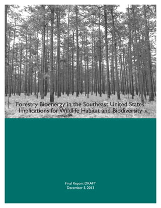 Forestry Bioenergy in the Southeast United States:
Implications for Wildlife Habitat and Biodiversity

Final Report
December 23, 2013

 