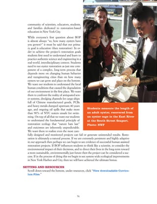Green Stem Guidebook - interactive | PDF