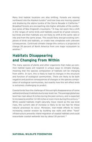 National Wildlife Federation
Many bird habitat locations are also shifting. Forests are moving
northward into the Alaskan tundra19
and tree lines are moving upward
and displacing the alpine tundra of the Sierra Nevada in California.20
Broadleaf forests are encroaching into higher altitudes of the conifer-
ous zones of New England’s mountains.21
It may not seem like a shift
in the ranges of some birds and habitats would be of great concern,
but birds and their habitats are not likely to shift at the same rate or
into and from the same areas. This would likely disrupt existing com-
plexes of birds and habitats, or create new complexes with unknown
consequences. Continued climate change this century is projected to
change 20 percent of North America from one major ecosystem to
another.22
Habitats Disappearing
and Changing From Within
The many species of plants and other organisms that make up com-
mon habitat types will respond in unique ways to climate change,
meaning that the species composition of habitats will be changing
from within. In turn, this is likely to lead to changes in the structure
and function of ecological communities. There are likely to be both
negative and positive consequences of changes in the species compo-
sition of ecological communities, but exactly how this will affect birds
is extremely challenging to predict.
Coastal birds face the challenge of the outright disappearance of some
wetland and beach habitats due to sea-level rise. The average global sea
level has risen about 8 inches during the past century, and is expected
to increase by another 12-48 inches or even more during this century.23
While coastal habitats might naturally move inland as the sea level
rises, the current rate of increase is likely to be too fast for these
natural processes to occur. Moreover, man-made efforts to resist
increasing coastal erosion by building sea walls and other “hard”
infrastructure prevents inland migration of coastal habitats and could
exacerbate coastal wetlands loss by about 20 percent.24
 