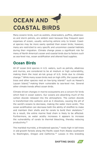 25Shifting Skies
Ocean and
Coastal Birds
Many oceanic birds, such as auklets, shearwaters, puffins, albatross-
es and storm petrels, are seldom seen because they frequent open
expanses of ocean, usually venturing ashore only to breed. Coast-
al species may be more easily spotted than ocean birds; however,
many are restricted to very specific and uncommon coastal habitats
during their migration. Climate change poses a significant risk for
many of North America’s ocean and coastal birds due to factors such
as sea-level rise, ocean acidification and altered food supplies.
Ocean Birds
All 67 ocean bird species in U.S. waters, such as petrels, albatross
and murres, are considered to be at medium or high vulnerability,
making them the most at-risk group of U.S. birds due to climate
change.94
While many ocean birds nest on high cliffs, the Laysan alba-
tross and other species nest on low-lying islands95
such as Hawaii’s
Laysan Island,96
making them vulnerable to sea-level rise. Several
other climate trends affect ocean birds.
Climate-driven changes in marine ecosystems are a concern for birds
which feed in ocean waters. Our oceans are absorbing much of the
carbon dioxide released into the atmosphere. The carbon dioxide
is transformed into carbonic acid as it dissolves, causing the pH of
the world’s oceans to decrease, making the water more acidic. This
ocean acidification can decrease both the ability of shellfish to make
and maintain their shells and for corals to build their skeletons.97
As a result, the entire marine food chain is likely to be affected.
Furthermore, as water acidity increases it appears to increase
the vulnerability of corals to thermal bleaching, thereby reducing
productivity.98
The marbled murrelet, a threatened species,99
nests high in tall trees
in old-growth forests along the Pacific coast from Alaska southward
to Washington, Oregon and California.100
Losses in this breeding
 