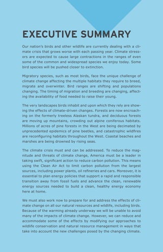 1Shifting Skies
Executive Summary
Our nation’s birds and other wildlife are currently dealing with a cli-
mate crisis that grows worse with each passing year. Climate stress-
ors are expected to cause large contractions in the ranges of even
some of the common and widespread species we enjoy today. Some
bird species will be pushed closer to extinction.
Migratory species, such as most birds, face the unique challenge of
climate change affecting the multiple habitats they require to breed,
migrate and overwinter. Bird ranges are shifting and populations
changing. The timing of migration and breeding are changing, affect-
ing the availability of food needed to raise their young.
The very landscapes birds inhabit and upon which they rely are show-
ing the effects of climate-driven changes. Forests are now encroach-
ing on the formerly treeless Alaskan tundra, and deciduous forests
are moving up mountains, crowding out alpine coniferous habitats.
Millions of acres of pine forests in the West are being decimated by
unprecedented epidemics of pine beetles, and catastrophic wildfires
are reconfiguring habitats throughout the West. Coastal beaches and
marshes are being drowned by rising seas.
The climate crisis must and can be addressed. To reduce the mag-
nitude and threats of climate change, America must be a leader in
taking swift, significant action to reduce carbon pollution. This means
using the Clean Air Act to limit carbon pollution from the largest
sources, including power plants, oil refineries and cars. Moreover, it is
essential to plan energy policies that support a rapid and responsible
transition away from fossil fuels and advance the clean, renewable
energy sources needed to build a clean, healthy energy economy
here at home.
We must also work now to prepare for and address the effects of cli-
mate change on all our natural resources and wildlife, including birds.
Because of the warming already underway we will be unable to avoid
many of the impacts of climate change. However, we can reduce and
accommodate some of the effects by modifying our approaches to
wildlife conservation and natural resource management in ways that
take into account the new challenges posed by the changing climate.
 